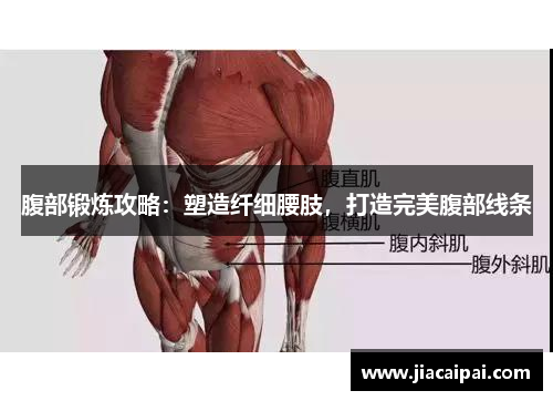 腹部锻炼攻略：塑造纤细腰肢，打造完美腹部线条